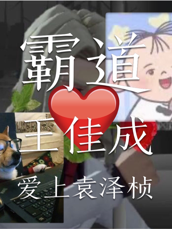 霸道王佳成爱上袁泽桢