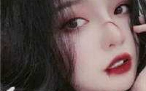 四爷的心尖宠妃(叶枣四爷)精彩小说_(四爷的心尖宠妃)完整版免费在线阅读