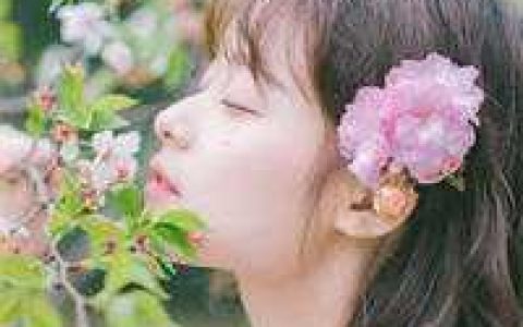 魔旖鲤束角色《怀了的上神的崽》_《怀了的上神的崽》全章节免费阅读