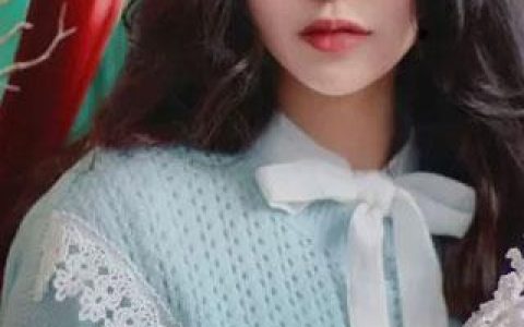 《相与到白首》权蓁苏玺_权蓁苏玺完结版阅读
