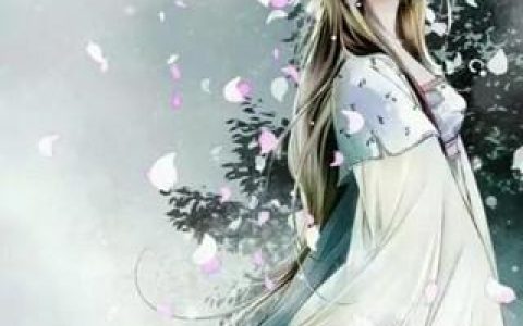 低调，我是文娱之王(苏宇张扬)全本免费在线阅读_苏宇张扬全章节免费阅读