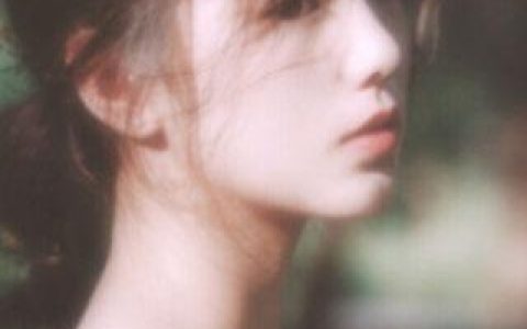 陈宁秦幼薇(大魏镇国公)全文免费阅读_陈宁秦幼薇全文免费在线阅读