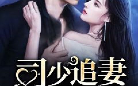 婚礼当天，前夫大佬竟想当众抢婚(舒晚季司寒)全集免费在线阅读_婚礼当天，前夫大佬竟想当众抢婚全本阅读