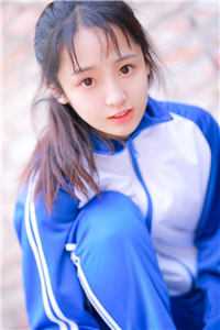 晋胡演义