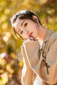 重振大明