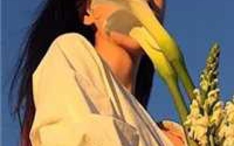 《医妃倾世：郡王，妾身有礼了》萧昶炫谢知微完结版阅读_萧昶炫谢知微全文免费在线阅读