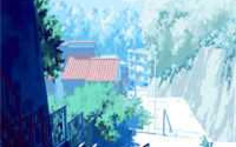 《你回来一起看》沈澈沈柚苏完结版免费在线阅读_(你回来一起看)完结版免费阅读