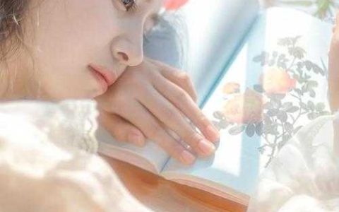 楚鸿飞楚渊《无上圣尊》全文在线阅读_《无上圣尊》全集阅读