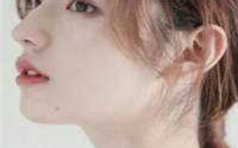情人节的玫瑰温意江淮_情人节的玫瑰全文在线阅读