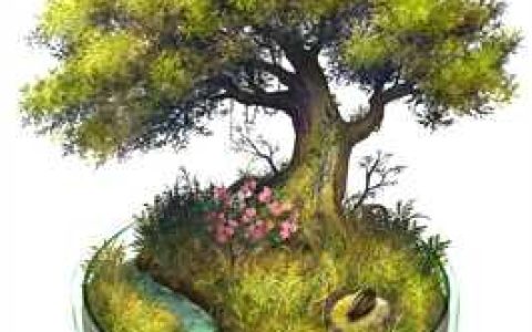 林舒意秦奕《此情至深》全本免费在线阅读_此情至深精彩小说