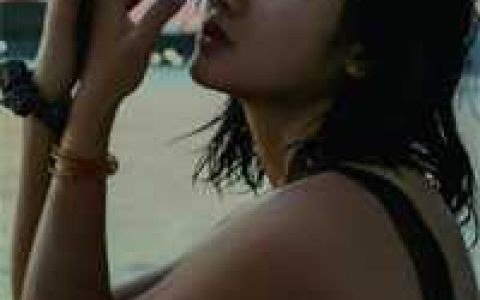 (叶枣四爷)四爷的心尖宠妃全章节免费在线阅读_(叶枣四爷)全章节免费在线阅读