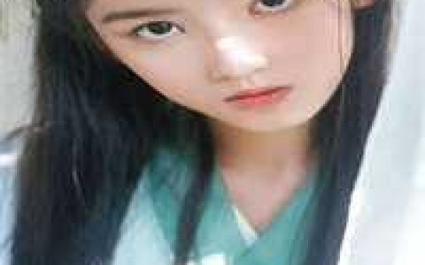 (贞观悍婿)秦怀道秦琼全集免费在线阅读_秦怀道秦琼最新章节免费阅读
