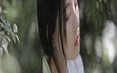 《人生如局》萧峥陈虹_《人生如局》全本免费在线阅读