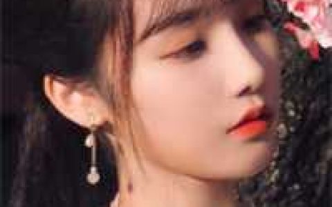 《大明莽夫》张昊张蛮子全章节免费阅读_(张昊张蛮子)全章节阅读