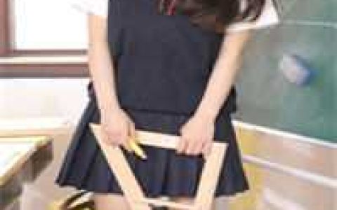 叶飞叶雨《战神龙王》全章节免费在线阅读_战神龙王热门小说