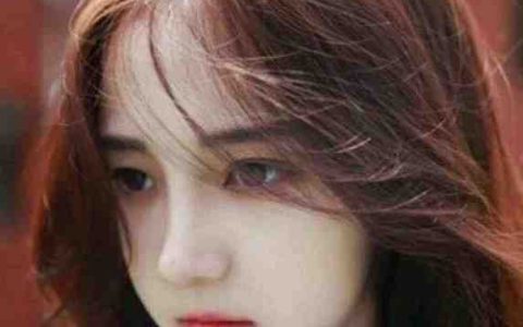 帝婿归来(萧南江林)全集阅读_帝婿归来全章节在线阅读