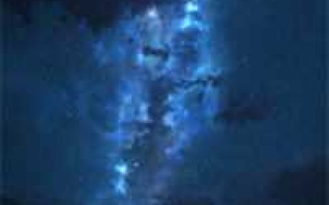 《葡萄成熟时》姜辛夷谈近完结版免费阅读_姜辛夷谈近最新章节免费阅读