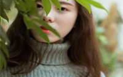 《沈慕那个表妹》沈府沈慕全集阅读_《沈慕那个表妹》全本在线阅读