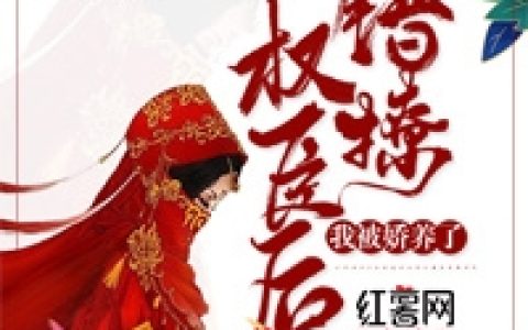 《大明：说敲打太子，你让我继位？》朱高燨曲三三的小文库全文免费在线阅读_《大明：说敲打太子，你让我继位？》全本免费在线阅读