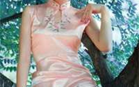苏铭林婉蓉《都市极品圣医》全本在线阅读_都市极品圣医全本免费在线阅读