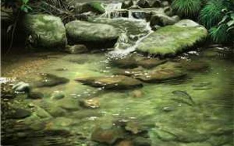 姜灵溪杨晟(这么几十罐东西)全章节免费在线阅读_《这么几十罐东西》全文阅读