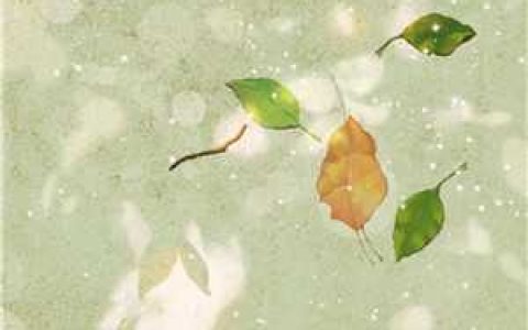 (第一天幻)苏锋开心果园完整版在线阅读_《第一天幻》全文在线阅读