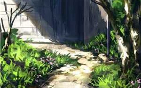 《拐个首富当老公》初夏贺北溟完整版免费阅读_(拐个首富当老公)热门小说