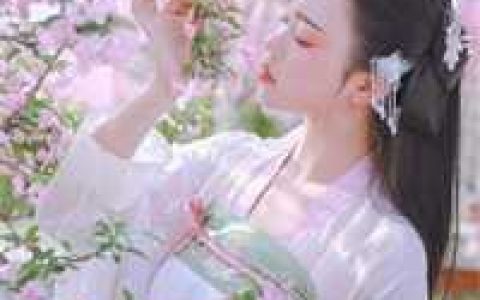 胡斌胡长贵《抗战之特种教官》全文在线阅读_抗战之特种教官精彩小说