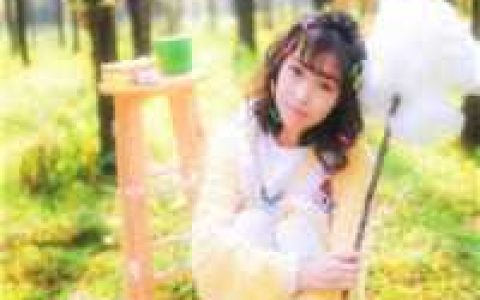 陈宁秦幼薇(大魏镇国公)全集在线阅读_陈宁秦幼薇完结版免费在线阅读