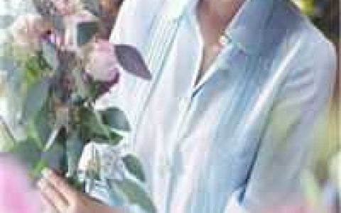 娘娘这种深宫之人(苏蕙姬安平)全本免费在线阅读_苏蕙姬安平全文在线阅读