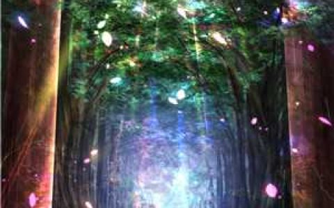 《后妃》沈星初周曜全章节阅读_《后妃》完整版在线阅读