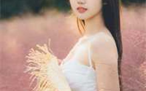 狂野房客全文免费阅读无弹窗大结局_（唐逸苏小小）狂野房客最新小说