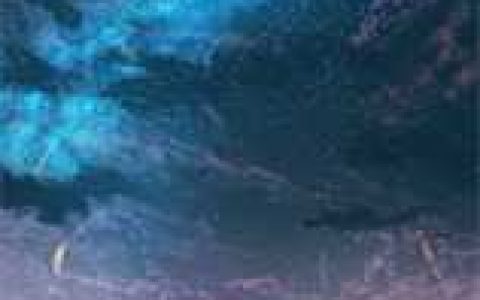 (林墨爱打篮球的小豪)开局被绿的我，重生修仙热门小说_林墨爱打篮球的小豪全本阅读