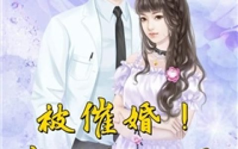 败家系统在花都(吕小布吕文霍)完整版在线阅读_(吕小布吕文霍)完整版阅读