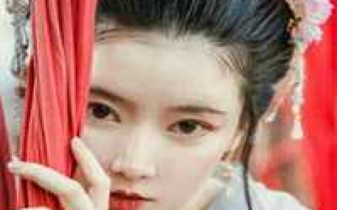 《中原第一女子》楚婉儿，太子，王爷全集免费在线阅读_楚婉儿，太子，王爷全文阅读