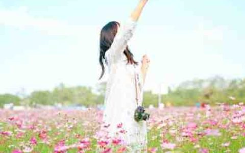 《退婚夜！我撕了战神王爷的衣服》楚千漓风夜玄_(退婚夜！我撕了战神王爷的衣服)全文免费阅读