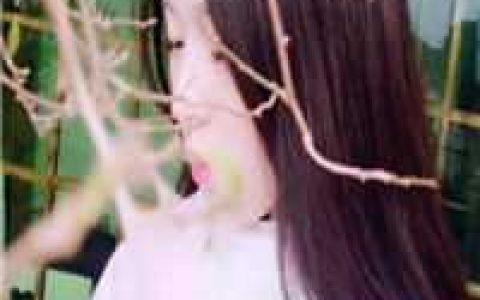 《我在天庭养仙鱼》许州决不阳完整版免费阅读_我在天庭养仙鱼全文免费在线阅读