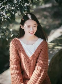 夫君可欺