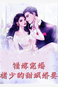我的绝色老婆